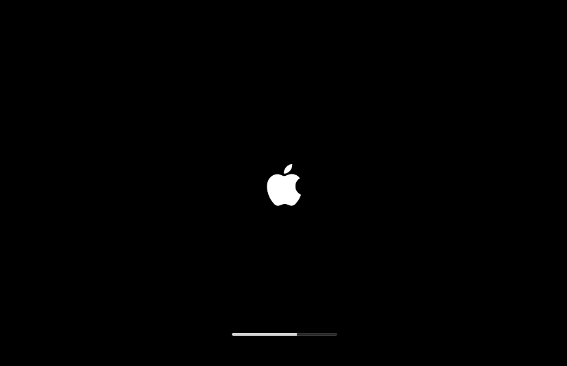 如果你的 Mac 启动到 Apple 标志或进度条画面