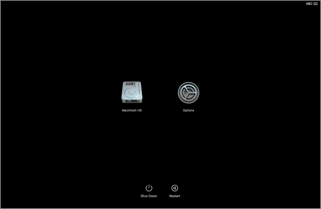 如果你的 Mac 在启动时显示“选项”齿轮图标